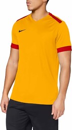 Nike Męska koszulka Park Derby II
