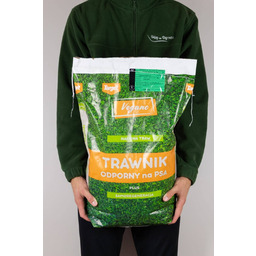 Trawnik odporny na psa nasiona traw z mikrokoniczyną
