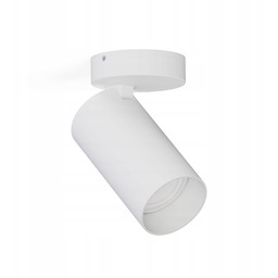 Nowodvorski Lampa Mono Biały Reflektor Sufitowy 7807