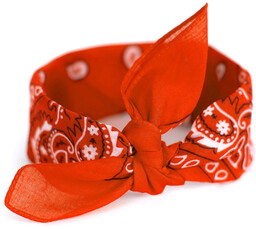 Bandana Classic Rebel