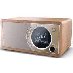 SHARP Radio DR-450 GR Brązowe, Tuner FM/DAB/DAB+