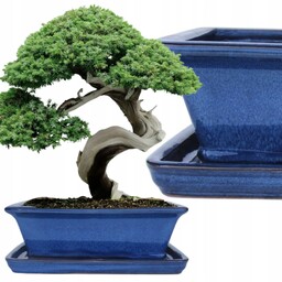 Donica Do Bonsai Z Podstawką Ceramiczna Szkliwiona Niebieska