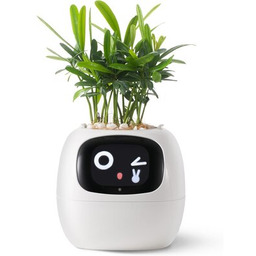 PLANTSIO Doniczka inteligentna IVY Wi-fi 0.122 L Biały