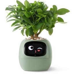 PLANTSIO Doniczka inteligentna IVY Wi-fi 0.122L Zielony
