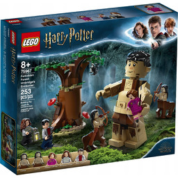 Lego 75967 Harry Potter Zakazany Las: spotkanie Umbridge