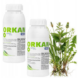 Orkan 350 Sl Zwalcza Chwasty Silny Glifosat Bez