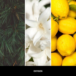 Millefiori Milano Uzupełniacz do lampy katalitycznej Oxygen