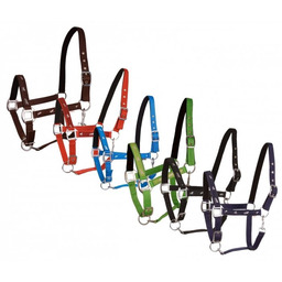 Fair Play Kantar ACTIVE HORSES