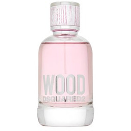 Dsquared2 Wood woda toaletowa dla kobiet 100 ml