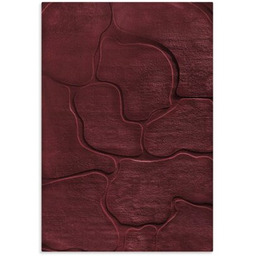 EUROFIRANY Dywan Alba4 60 x 100 cm Bordowy