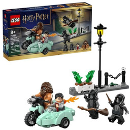 LEGO Harry Potter 76459 Harry Potter i Hagrid