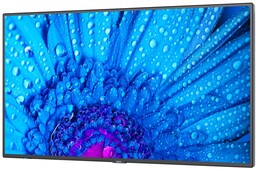 Monitor NEC MultiSync M431