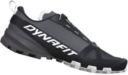 Buty męskie DYNAFIT Traverse GTX magnet/black out UK