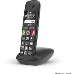 Gigaset E290