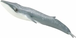 Collecta - Minke Wieloryb (88862)