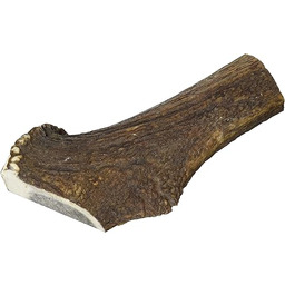 Arquivet Jelenie Poroża Dla Psów - 100% Naturalne
