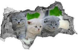 Dziura 3d fototapeta naklejka Trzy koty na kocu