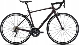 Giant Contend 1 XL 23'' 58,5cm Szosa Rok