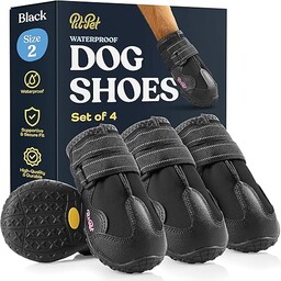 Buty dla psa