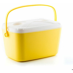 Przenośna, twarda lodówka Lilty InnovaGoods 15 L