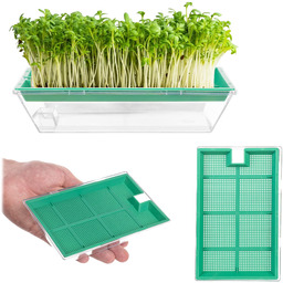 Kiełkownica Clion mała 16 x 10 cm zielona