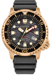 Zegarek CITIZEN BN0163-00H. SOLAR QUARTZ, Kolor czarny. Mężczyzna.