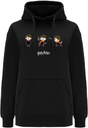 Bluza damska Harry Potter wzór: Harry Potter 011,