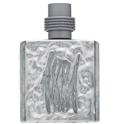 Cerruti 1881 Silver woda toaletowa dla mężczyzn 100