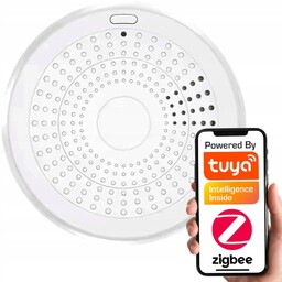 Czujnik Alarm Detektor 2w1 Dual Dymu Co Czadu
