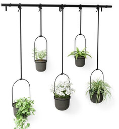 Kwietnik Triflora black 5