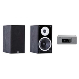 DENON CEOL N-10g + WILSON RAPTOR 1