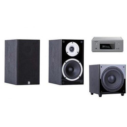 DENON CEOL N-10g + WILSON RAPTOR 1 +