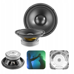 Głośnik do zabudowy niskotonowy Hi-Fi 200W Fenton