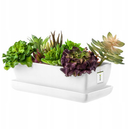 Kaktusiarka doniczka Ceramika biała połysk 29cm podstawka sukulenty