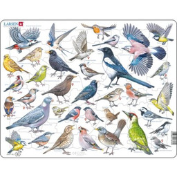 LARSEN Układanka Maxi Ptaki ogrodowe polne (69 elementów)