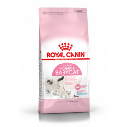 Karma dla kotów MOTHER BABYCAT 2 kg ROYAL