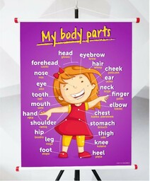 Plansza- My body parts