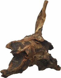 Amtra A8047547 Mystic Wood, 15-20 cm