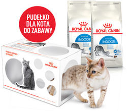 ROYAL CANIN Indoor 27 2kg karma sucha