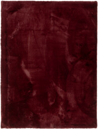 MULTI-DECOR Dywan wewnętrzny Sophia 60 x 120 cm