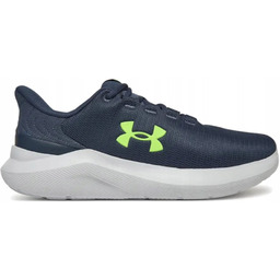 Sportowe buty dla mężczyzn Under Armour 3028252-044 Sportowe