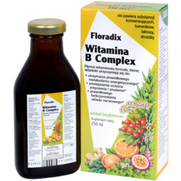 Floradix Witamina B complex Płyn, 250 ml