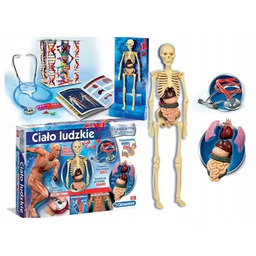Naukowa zabawa. Ciało ludzkie. Clementoni