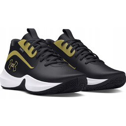 Sportowe buty dla mężczyzn Under Armour 3028512-001 czarny