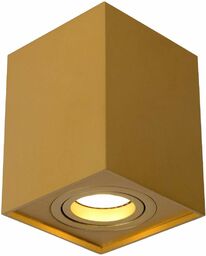 Lucide Regulowana lampa sufitowa TUBE 22953/01/02 downlight mosiądz