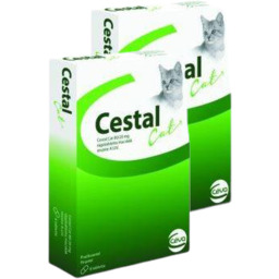 Cestal Cat tabletki na odrobaczanie kotów 4 tabletki