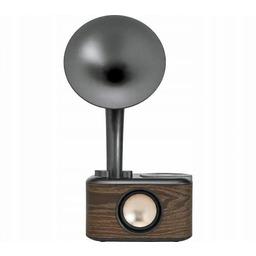 Radioodbiornik Sangean Euphonic 450 WR-45 Czarny