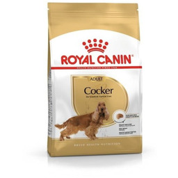 Royal Canin BHN Cocker Adult - sucha karma