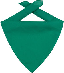 Bandana Goal, ciemnozielony