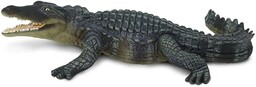 Krokodyl dżungli